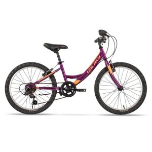 Detský dievčenský bicykel Galaxy Ida 20" - model 2020 fialová